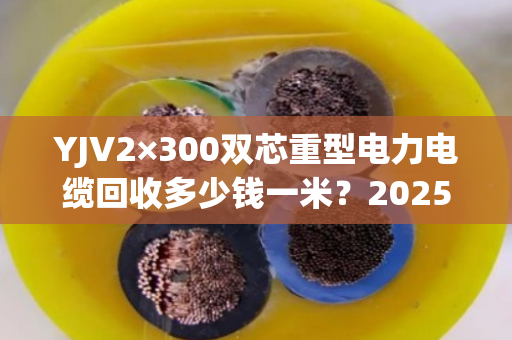 YJV2×300双芯重型电力电缆回收多少钱一米?2025最新回收价格与避坑指南 YJV2×300双芯重型电力电缆回收多少钱一米?2025最新回收价格与避坑指南