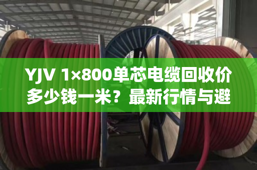 YJV 1×800单芯电缆回收价多少钱一米?最新行情与避坑指南 YJV 1×800单芯电缆回收价多少钱一米?最新行情与避坑指南