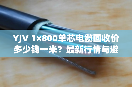 YJV 1×800单芯电缆回收价多少钱一米？最新行情与避坑指南