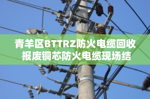 青羊区BTTRZ防火电缆回收 报废铜芯防火电缆现场结算