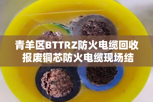 青羊区BTTRZ防火电缆回收 报废铜芯防火电缆现场结算