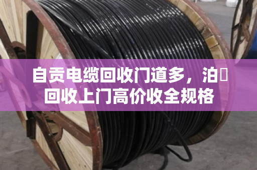 自贡电缆回收门道多,泊祎回收上门高价收全规格 自贡电缆回收门道多,泊祎回收上门高价收全规格