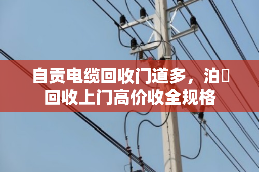自贡电缆回收门道多，泊祎回收上门高价收全规格