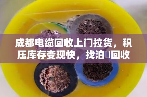 成都电缆回收上门拉货,积压库存变现快,找泊祎回收省心又划算 成都电缆回收上门拉货,积压库存变现快,找泊祎回收省心又划算