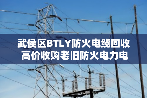 武侯区BTLY防火电缆回收 高价收购老旧防火电力电缆