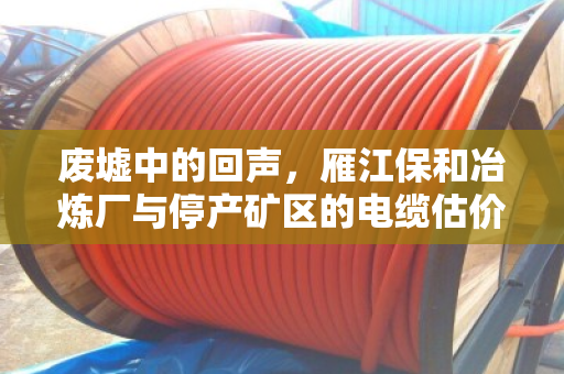 废墟中的回声，雁江保和冶炼厂与停产矿区的电缆估价人生