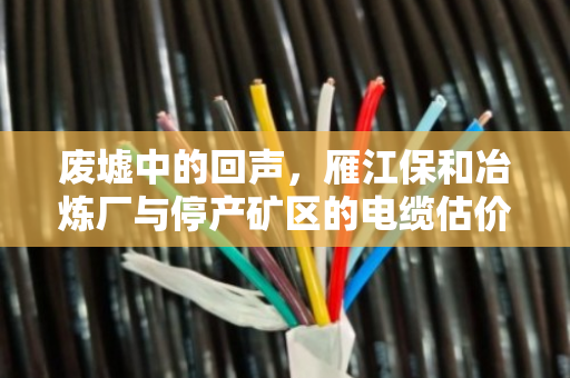 废墟中的回声，雁江保和冶炼厂与停产矿区的电缆估价人生