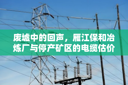 废墟中的回声，雁江保和冶炼厂与停产矿区的电缆估价人生