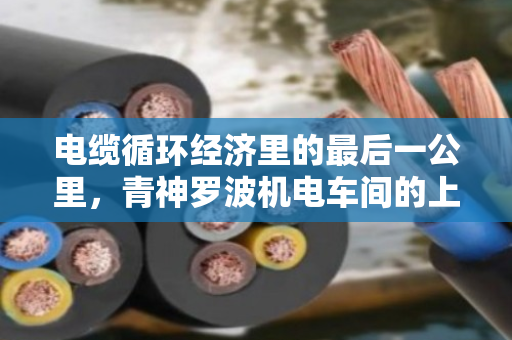 电缆循环经济里的最后一公里,青神罗波机电车间的上门服务哲学 电缆循环经济里的最后一公里,青神罗波机电车间的上门服务哲学