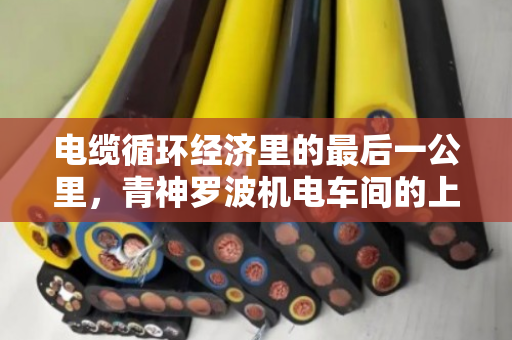 电缆循环经济里的最后一公里,青神罗波机电车间的上门服务哲学 电缆循环经济里的最后一公里,青神罗波机电车间的上门服务哲学