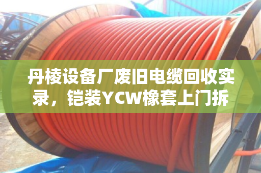 丹棱设备厂废旧电缆回收实录，铠装YCW橡套上门拆解，铜缆免费实地收货