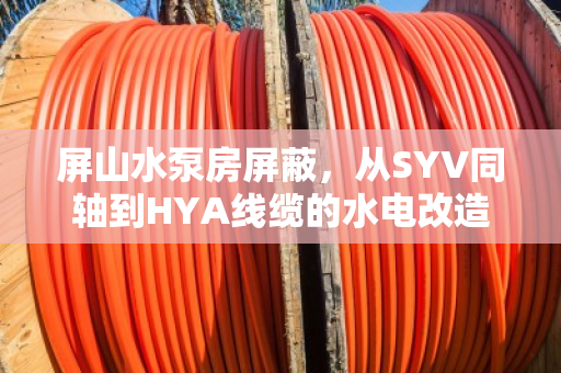 屏山水泵房屏蔽，从SYV同轴到HYA线缆的水电改造专车上门估价全解析