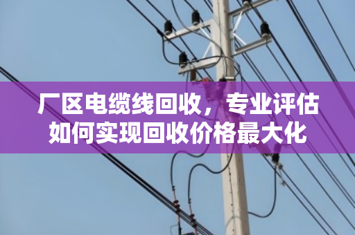 厂区电缆线回收，专业评估如何实现回收价格最大化