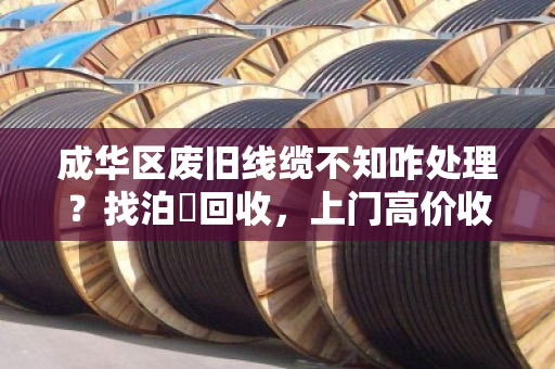 成华区废旧线缆不知咋处理?找泊祎回收,上门高价收,省心又赚钱! 成华区废旧线缆不知咋处理?找泊祎回收,上门高价收,省心又赚钱!