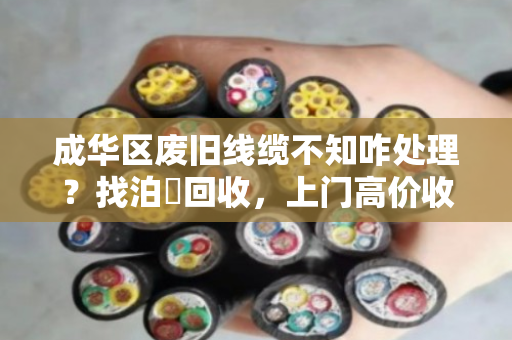 成华区废旧线缆不知咋处理?找泊祎回收,上门高价收,省心又赚钱! 成华区废旧线缆不知咋处理?找泊祎回收,上门高价收,省心又赚钱!