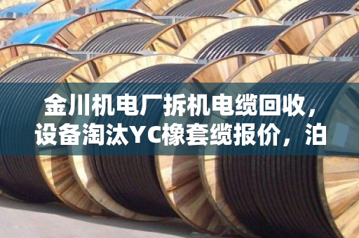 金川机电厂拆机电缆回收,设备淘汰YC橡套缆报价,泊祎回收一站式服务 金川机电厂拆机电缆回收,设备淘汰YC橡套缆报价,泊祎回收一站式服务