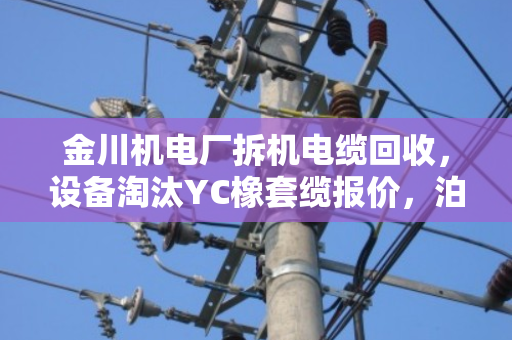 金川机电厂拆机电缆回收，设备淘汰YC橡套缆报价，泊祎回收一站式服务