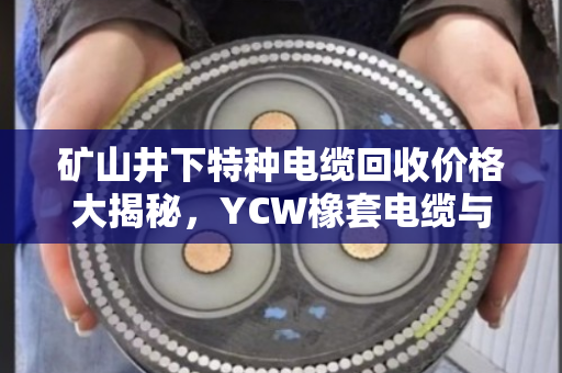 矿山井下特种电缆回收价格大揭秘,YCW橡套电缆与SYVP同轴电缆最新行情及客户真实反馈 矿山井下特种电缆回收价格大揭秘,YCW橡套电缆与SYVP同轴电缆最新行情及客户真实反馈