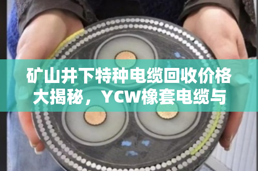 矿山井下特种电缆回收价格大揭秘,YCW橡套电缆与SYVP同轴电缆最新行情及客户真实反馈 矿山井下特种电缆回收价格大揭秘,YCW橡套电缆与SYVP同轴电缆最新行情及客户真实反馈