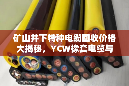 矿山井下特种电缆回收价格大揭秘，YCW橡套电缆与SYVP同轴电缆最新行情及客户真实反馈