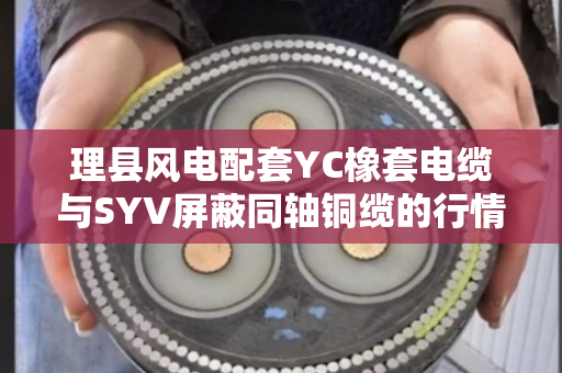 理县风电配套YC橡套电缆与SYV屏蔽同轴铜缆的行情分析与产业趋势探讨 理县风电配套YC橡套电缆与SYV屏蔽同轴铜缆的行情分析与产业趋势探讨