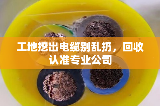工地挖出电缆别乱扔,回收认准专业公司 工地挖出电缆别乱扔,回收认准专业公司