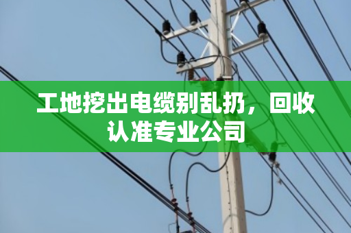 工地挖出电缆别乱扔,回收认准专业公司 工地挖出电缆别乱扔,回收认准专业公司
