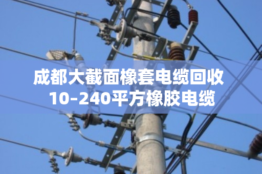 成都大截面橡套电缆回收 10–240平方橡胶电缆 成都大截面橡套电缆回收 10–240平方橡胶电缆