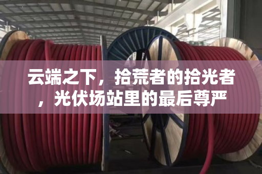 云端之下,拾荒者的拾光者,光伏场站里的最后尊严 云端之下,拾荒者的拾光者,光伏场站里的最后尊严