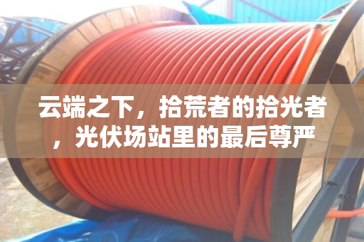 云端之下，拾荒者的拾光者，光伏场站里的最后尊严