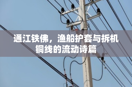 通江铁佛,渔船护套与拆机铜线的流动诗篇 通江铁佛,渔船护套与拆机铜线的流动诗篇