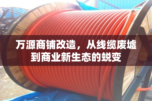 万源商铺改造,从线缆废墟到商业新生态的蜕变 万源商铺改造,从线缆废墟到商业新生态的蜕变