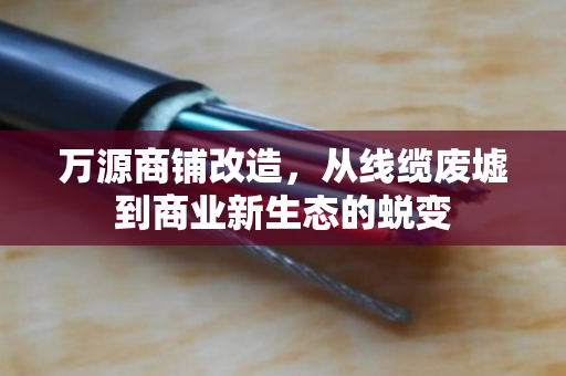 万源商铺改造,从线缆废墟到商业新生态的蜕变 万源商铺改造,从线缆废墟到商业新生态的蜕变