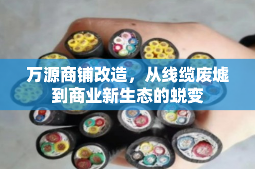 万源商铺改造，从线缆废墟到商业新生态的蜕变