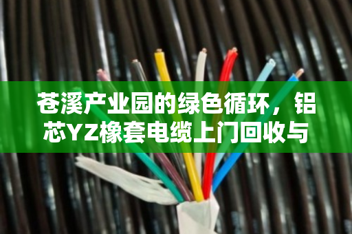 苍溪产业园的绿色循环，铝芯YZ橡套电缆上门回收与园区淘汰HYA线缆全天定价的背后故事