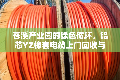 苍溪产业园的绿色循环，铝芯YZ橡套电缆上门回收与园区淘汰HYA线缆全天定价的背后故事