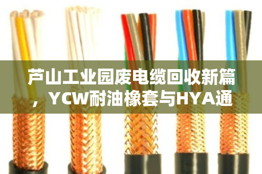 芦山工业园废电缆回收新篇,YCW耐油橡套与HYA通信电缆的绿色价值再生 芦山工业园废电缆回收新篇,YCW耐油橡套与HYA通信电缆的绿色价值再生