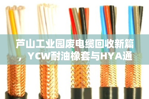 芦山工业园废电缆回收新篇,YCW耐油橡套与HYA通信电缆的绿色价值再生 芦山工业园废电缆回收新篇,YCW耐油橡套与HYA通信电缆的绿色价值再生