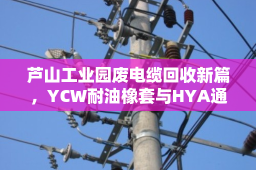 芦山工业园废电缆回收新篇，YCW耐油橡套与HYA通信电缆的绿色价值再生