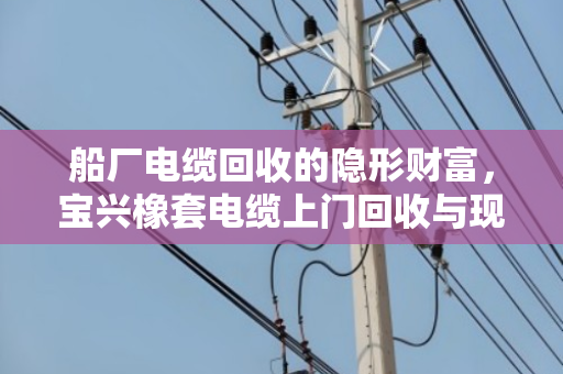 船厂电缆回收的隐形财富，宝兴橡套电缆上门回收与现场结算全揭秘
