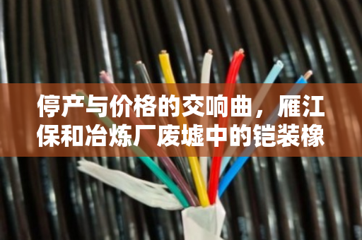 停产与价格的交响曲,雁江保和冶炼厂废墟中的铠装橡套与同轴电缆价值重估 停产与价格的交响曲,雁江保和冶炼厂废墟中的铠装橡套与同轴电缆价值重估