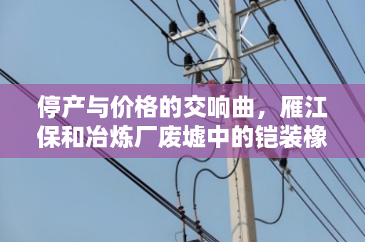 停产与价格的交响曲,雁江保和冶炼厂废墟中的铠装橡套与同轴电缆价值重估 停产与价格的交响曲,雁江保和冶炼厂废墟中的铠装橡套与同轴电缆价值重估