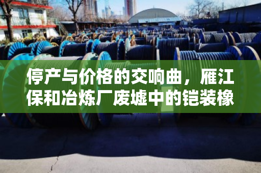 停产与价格的交响曲，雁江保和冶炼厂废墟中的铠装橡套与同轴电缆价值重估