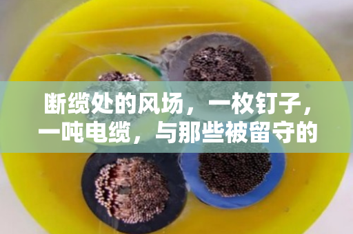 断缆处的风场，一枚钉子，一吨电缆，与那些被留守的往事
