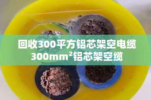  回收300平方铝芯架空电缆 300mm²铝芯架空缆