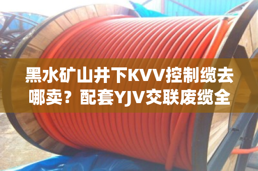 黑水矿山井下KVV控制缆去哪卖？配套YJV交联废缆全天上门收购吗