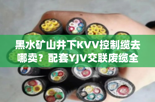 黑水矿山井下KVV控制缆去哪卖？配套YJV交联废缆全天上门收购吗