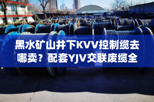 黑水矿山井下KVV控制缆去哪卖？配套YJV交联废缆全天上门收购吗