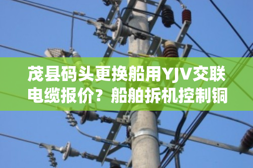 茂县码头更换船用YJV交联电缆报价?船舶拆机控制铜缆上门定价吗 茂县码头更换船用YJV交联电缆报价?船舶拆机控制铜缆上门定价吗