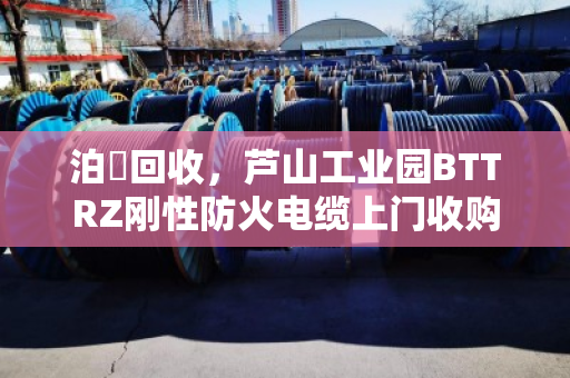 泊祎回收，芦山工业园BTTRZ刚性防火电缆上门收购，高价诚信一站式服务
